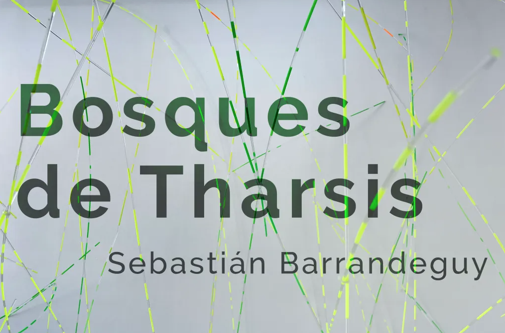 El artista uruguayo Sebastián Barrandeguy presenta "Bosques de Tharsis"