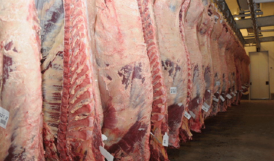 Habilitación de frigoríficos uruguayos para exportar carne a México
